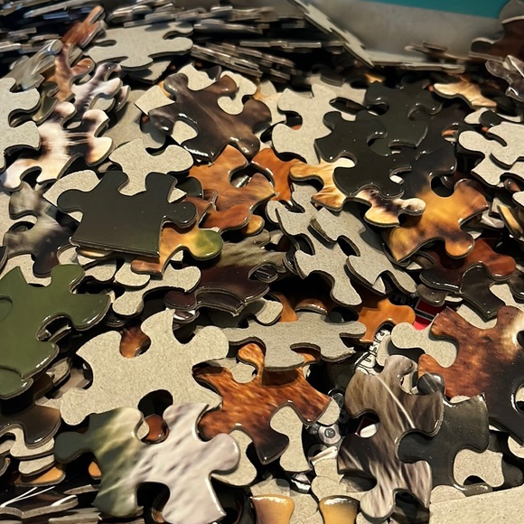 Amazing Animals Puzzle & Book - Picture 4 of 6